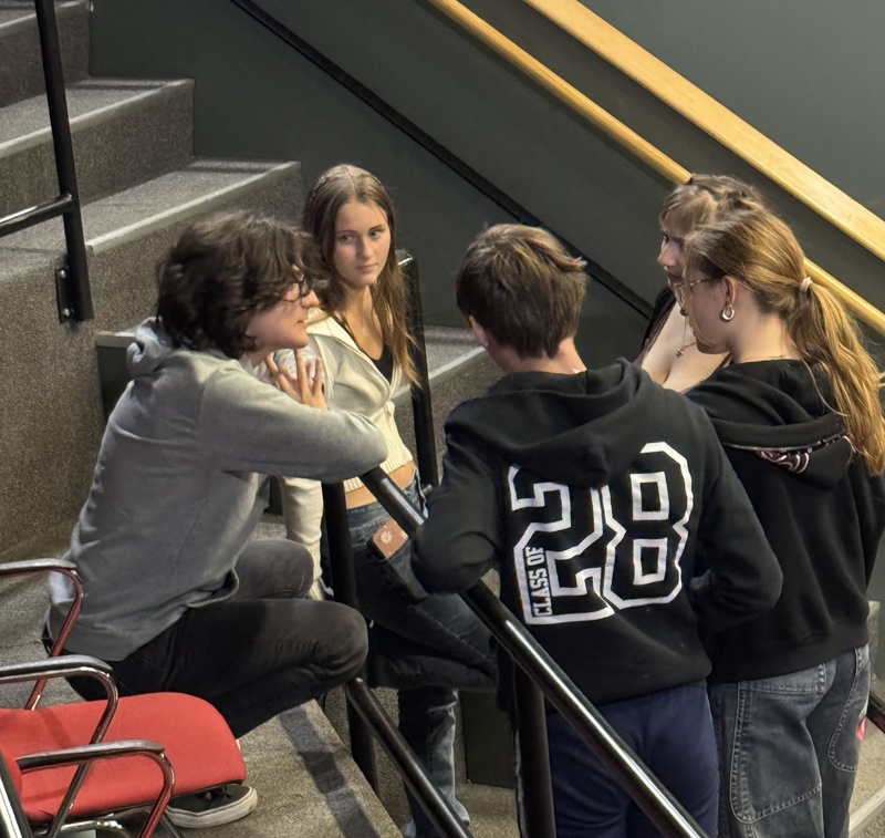 Collaborating with other students