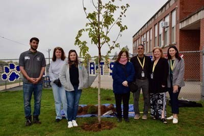Students and teachers standing by tree..