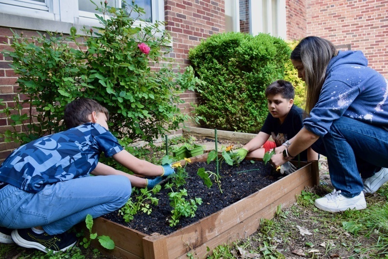 Two children happily gardening together, planting seedlings in a garden bed surrounded by lush greenery.