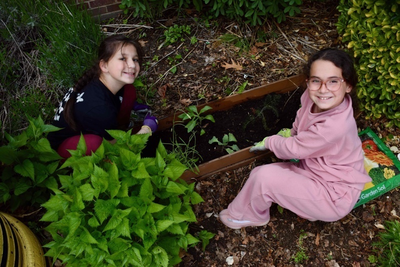 Two children happily gardening together, planting seedlings in a garden bed surrounded by lush greenery.