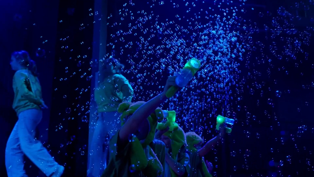 The LIttle Mermaid