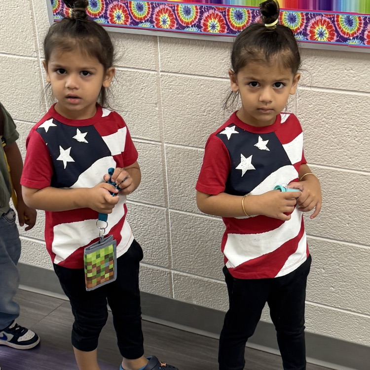 constitution day
