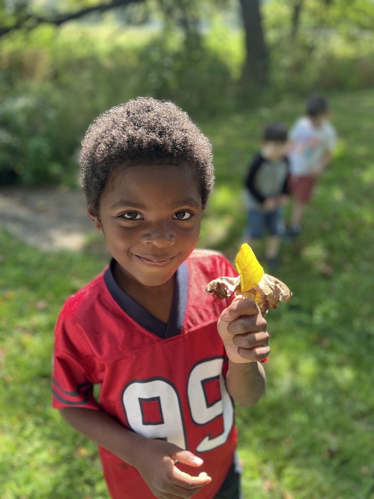 Student holding leaves
