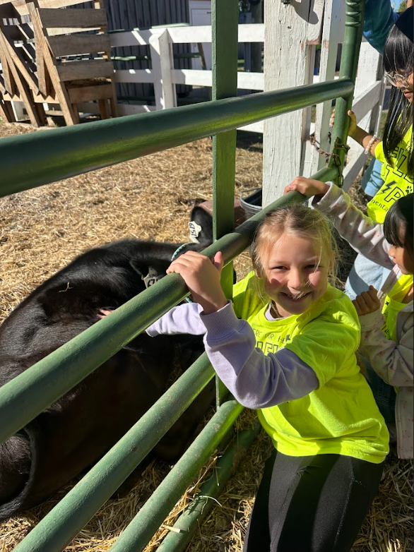 student smiling next to cow