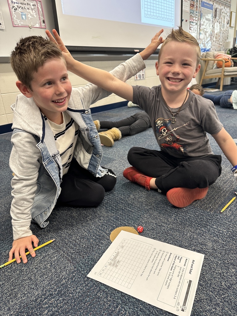 students learning in pairs