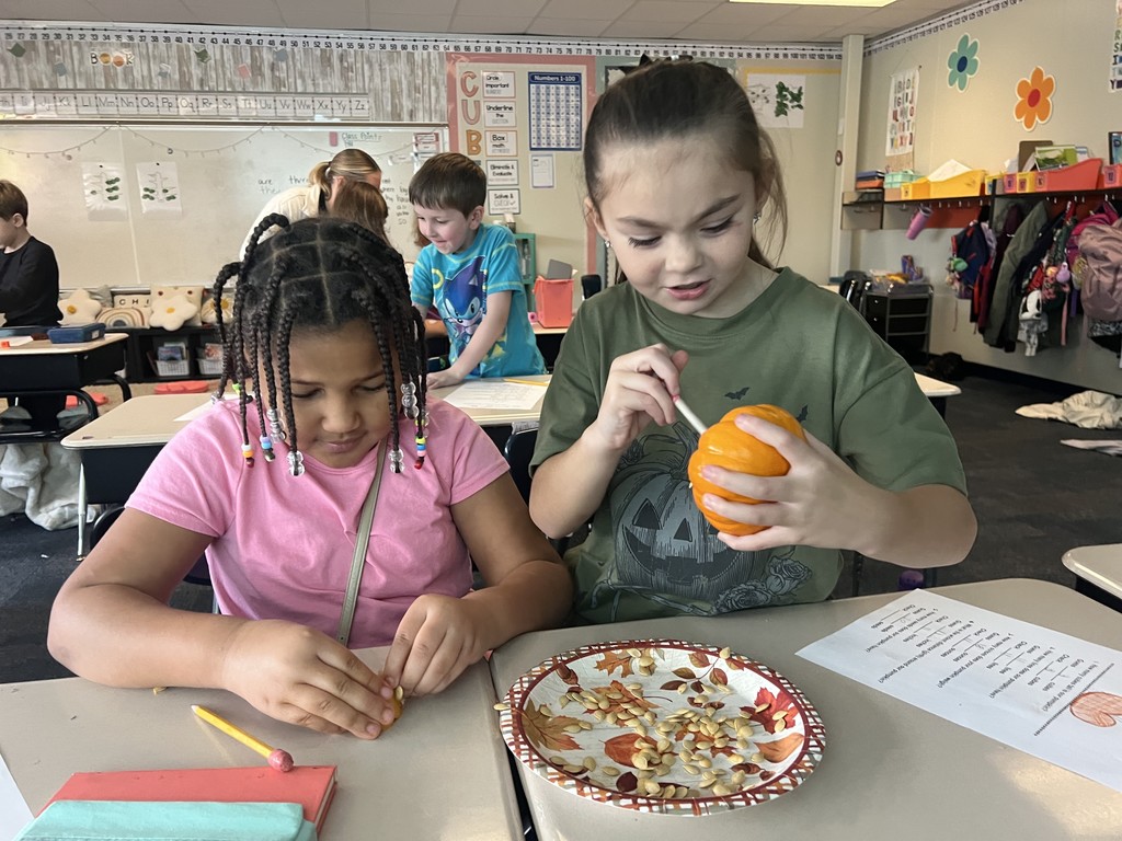Students doing Pumpkin Math