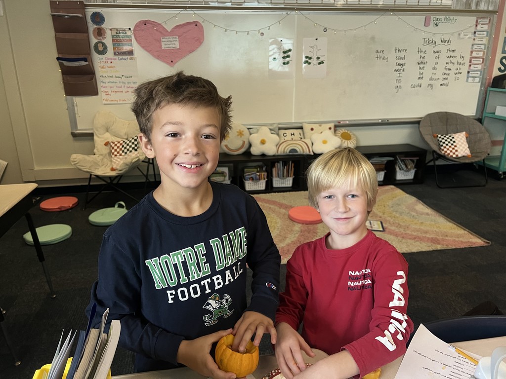 Students doing Pumpkin Math