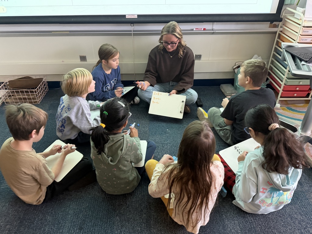 students learning in class