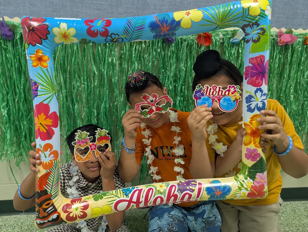 #FTCSCHawaiianDay