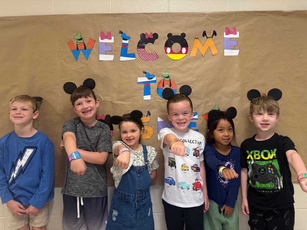 D for Disney Day for kindergarten countdown