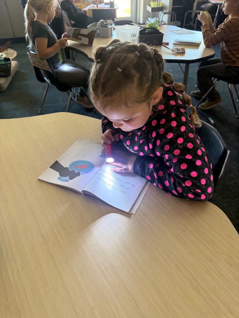 kindergarten student reading with a flashlight