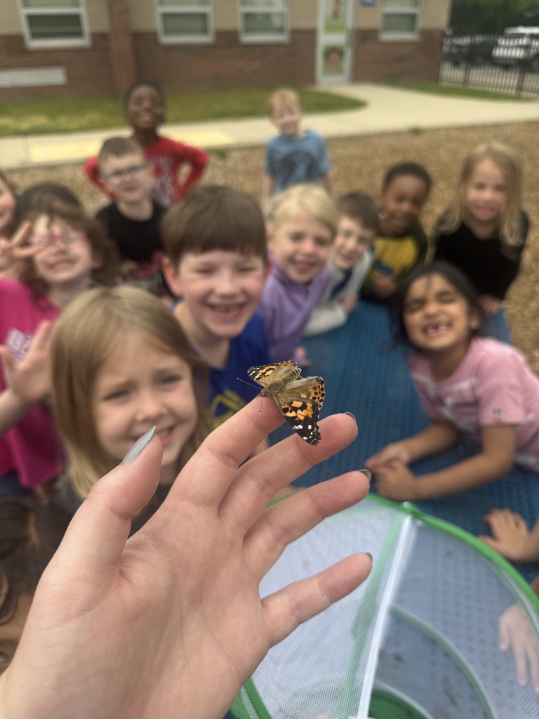 butterfly release with Miss Merk's kindergarten students