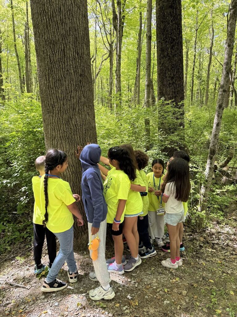 second grade field trip