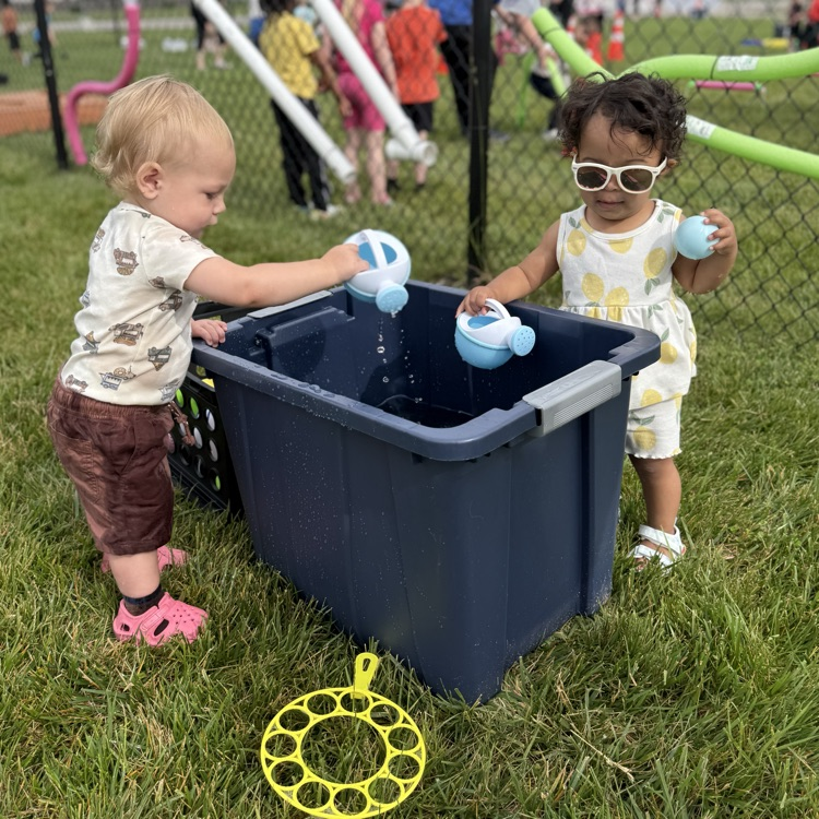 field day