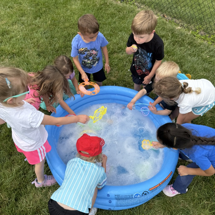 field day