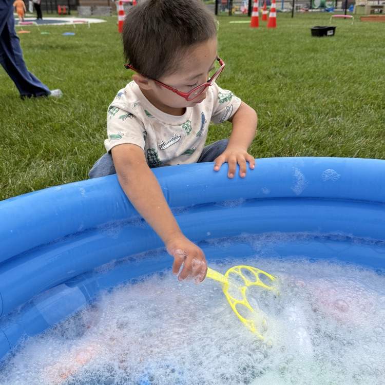 field day
