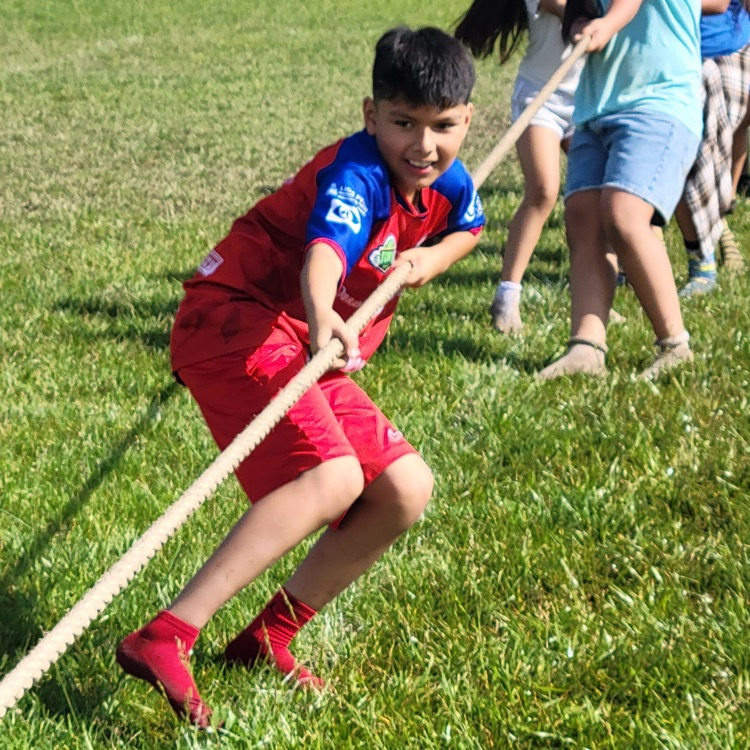 flashes 