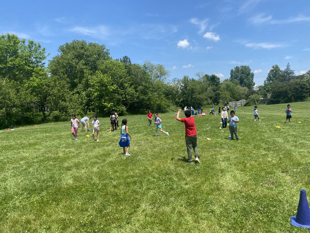 field day