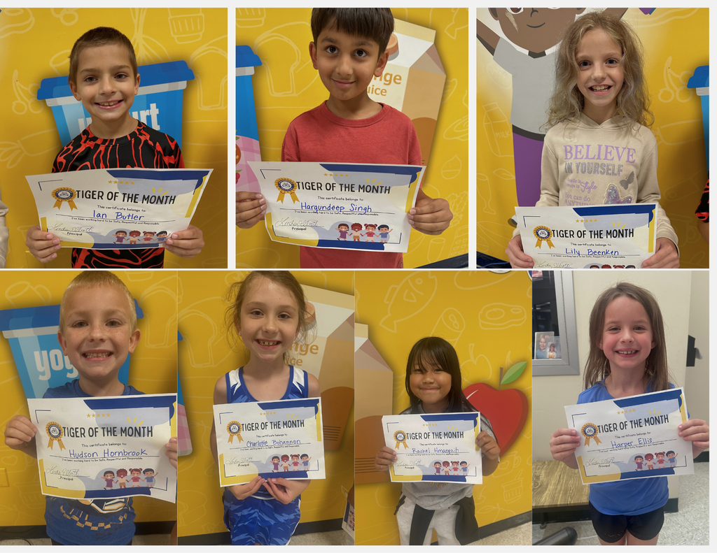 August Tiger of the Month