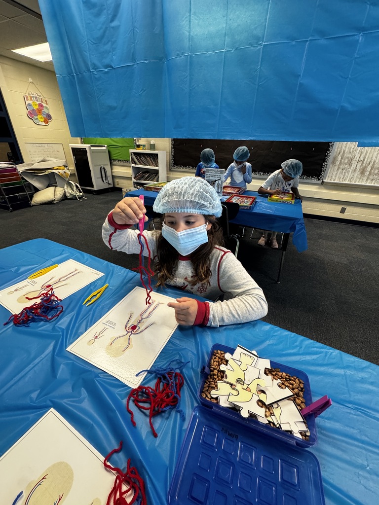 first grade OR day where students are wearing scrubs and doing body themed activities