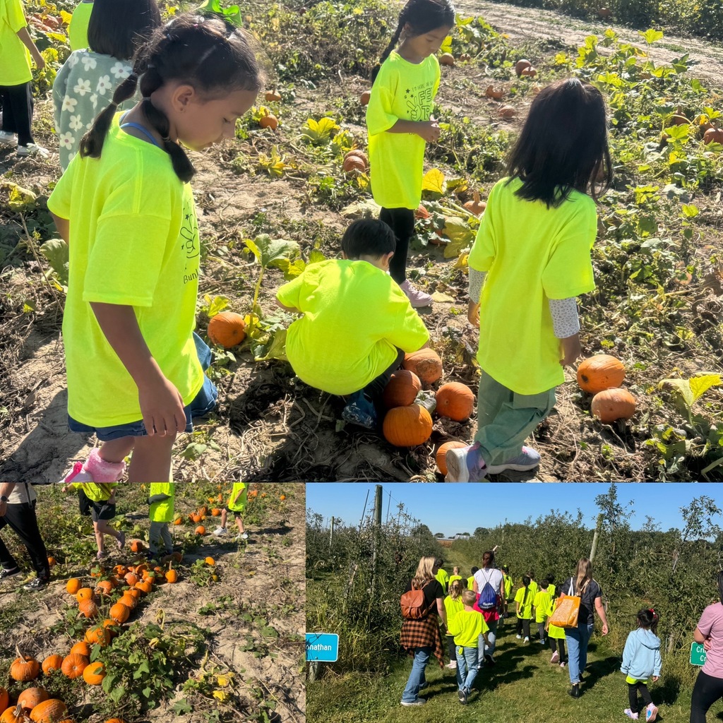 students walking in a pumpkin patch hunting for the perfect pumpkin