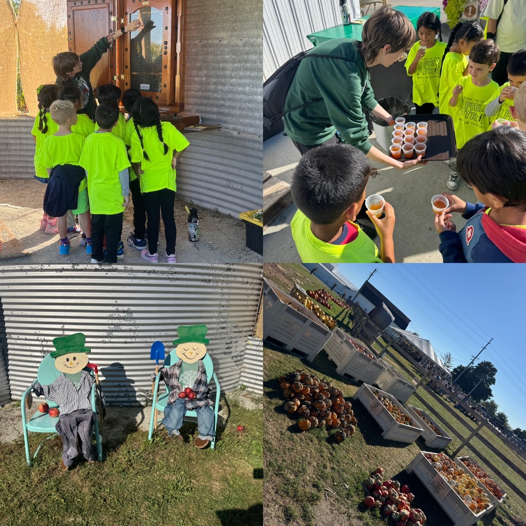 collage of 4 photos - 1. students observing honey bees behind a glass window, 2. students drinking apple cider, 3. two scarecrows sitting in teal metal chairs, 4. boxes of pumpkins