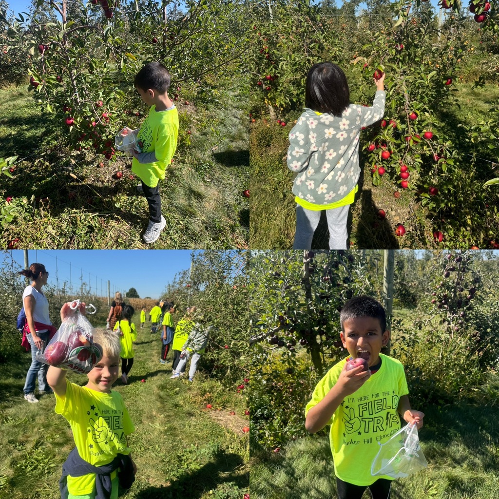 collage of 4 students smiling with their apples that they picked
