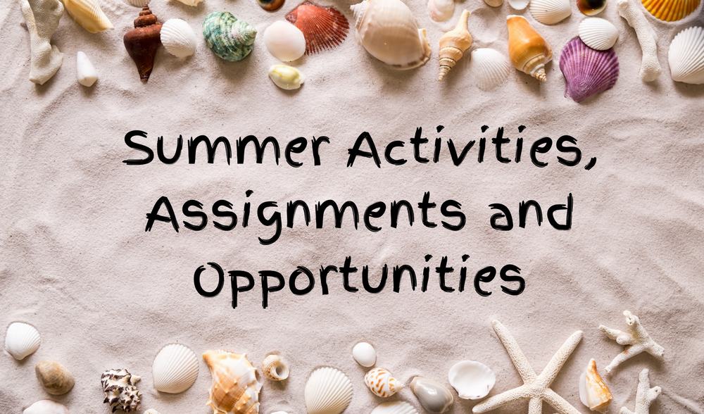 shells sand summer activities
