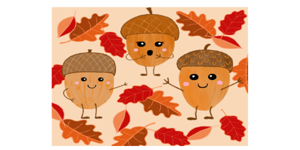 Acorns