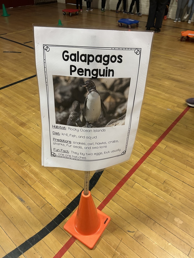 penguin 2