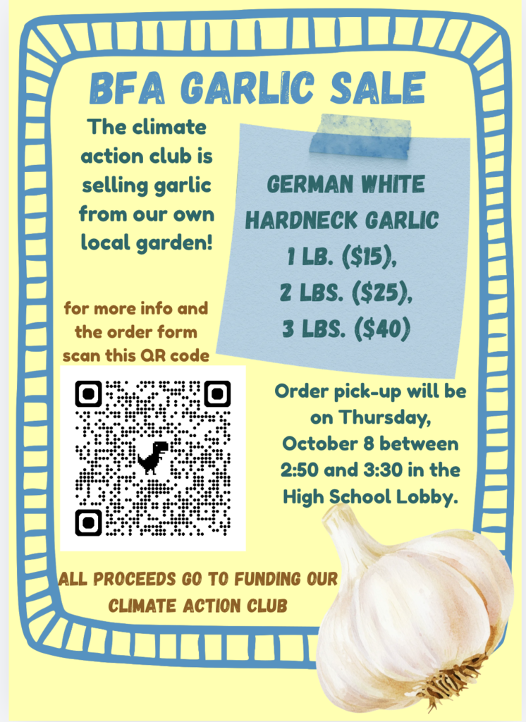 garlic