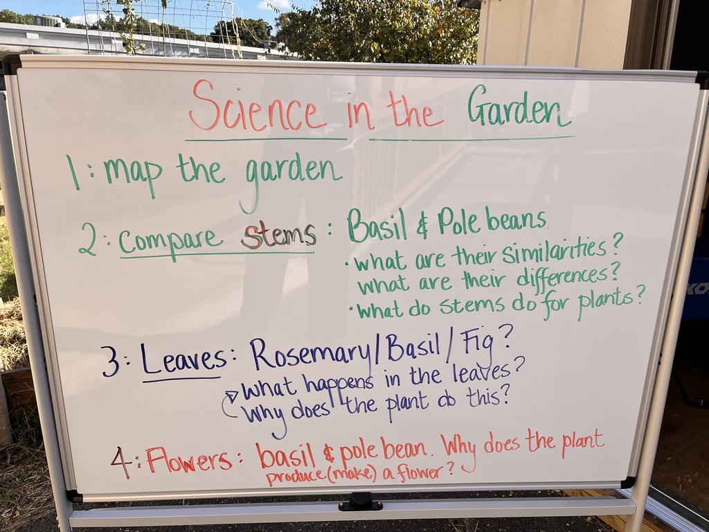 Science in the garden