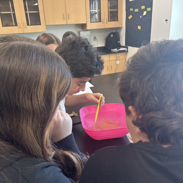Students testing surface tension! 