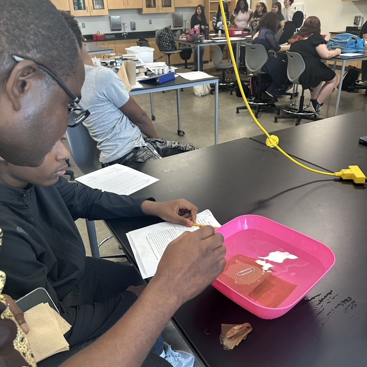 Students testing surface tension! 