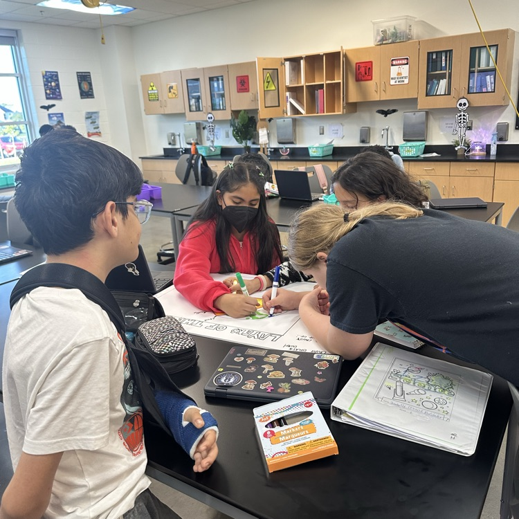 Students working on posters!