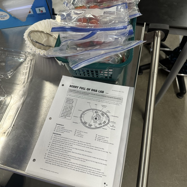 #BerryFullofDNALab