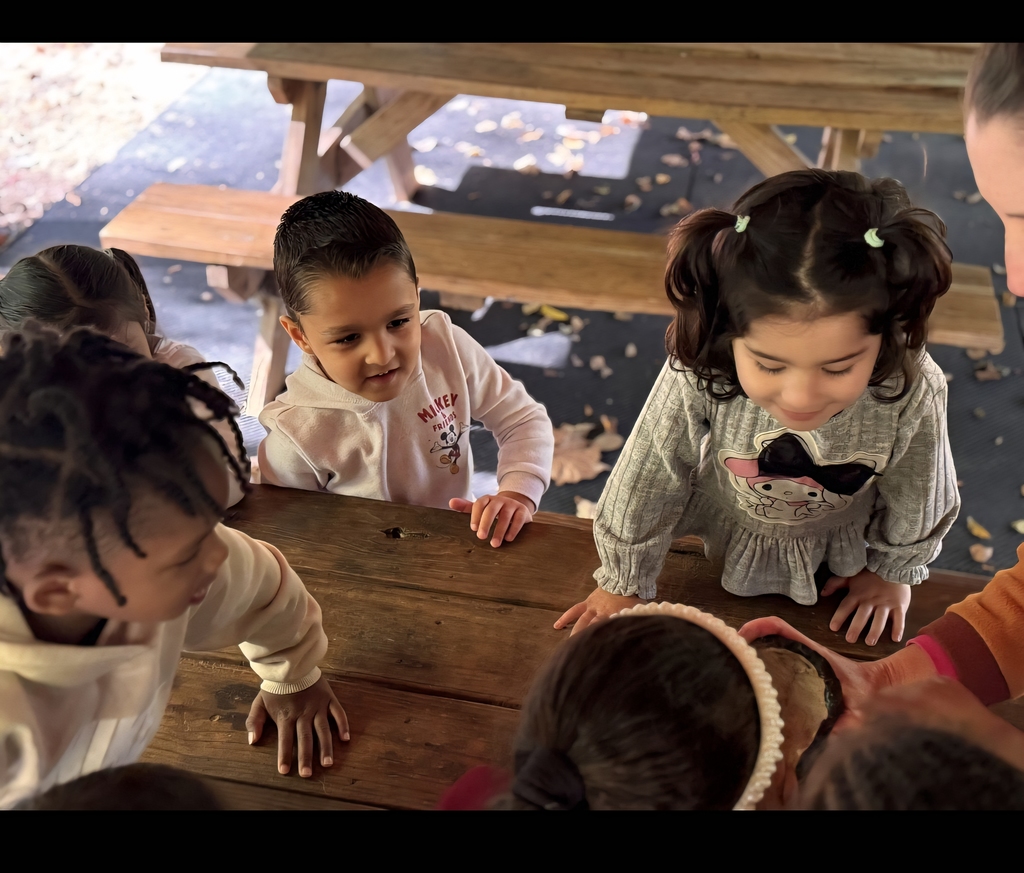 Falling in Love with Learning