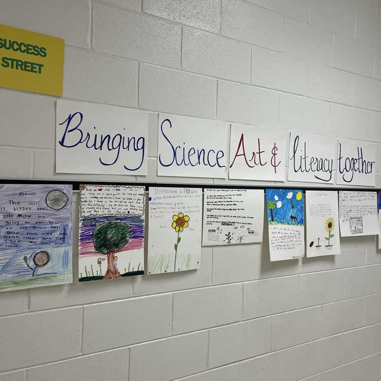 Art, Science, and Literacy