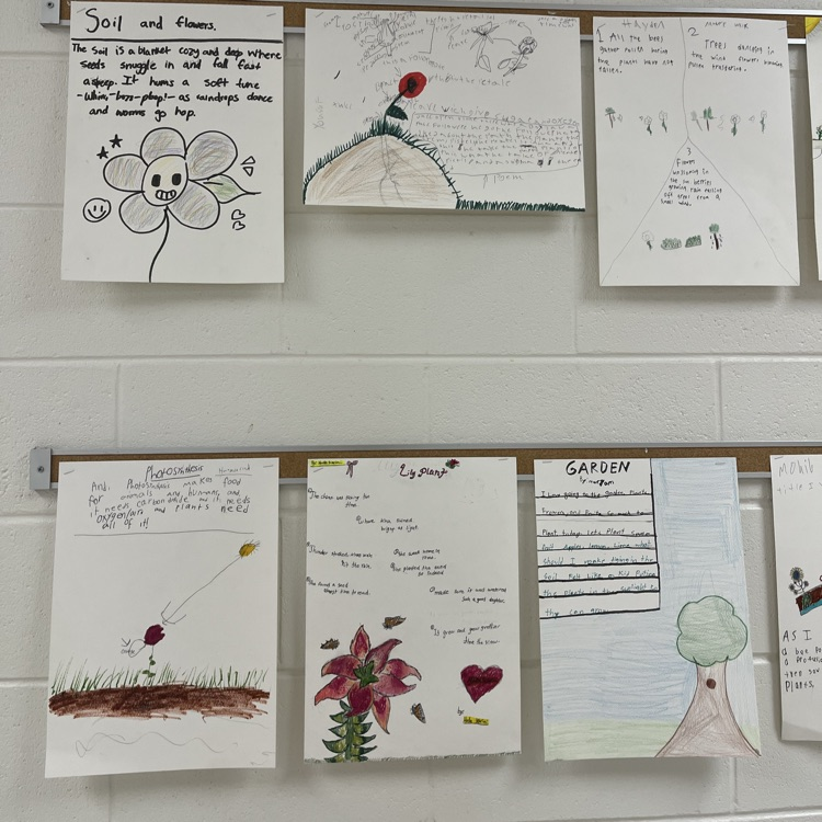 Art, Science, and Literacy