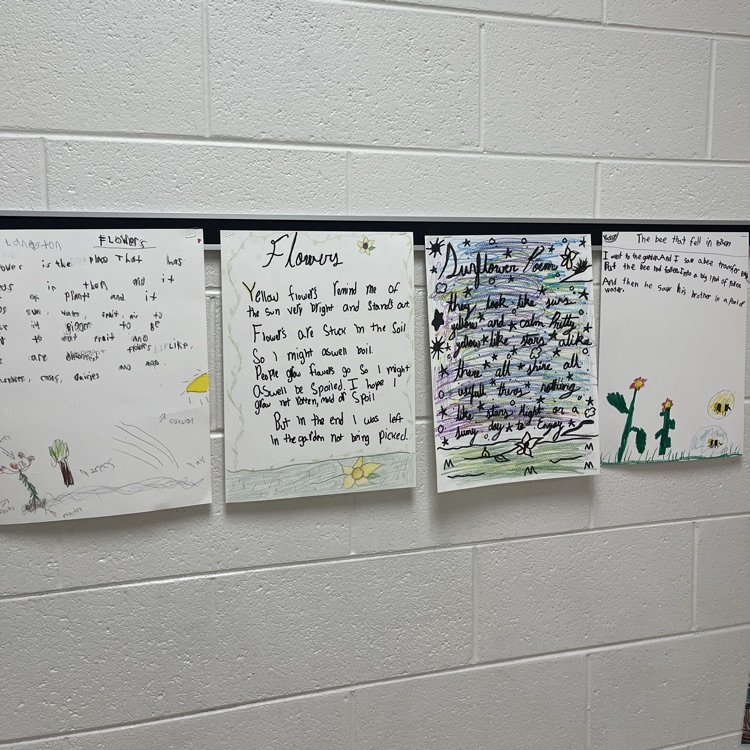 Art, Science, and Literacy