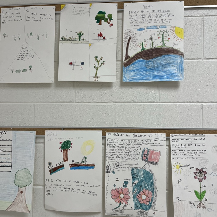 Art, Science, and Literacy