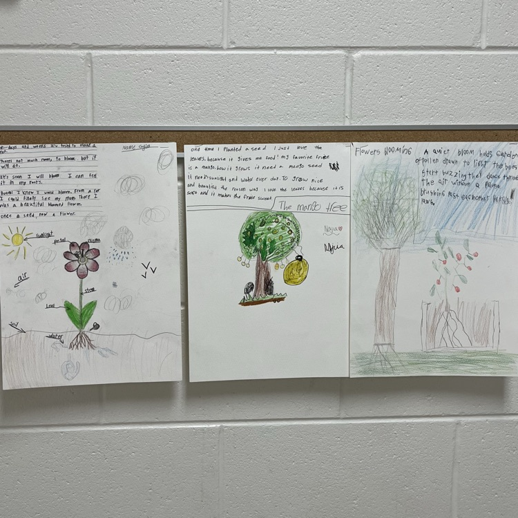 Art, Science, and Literacy