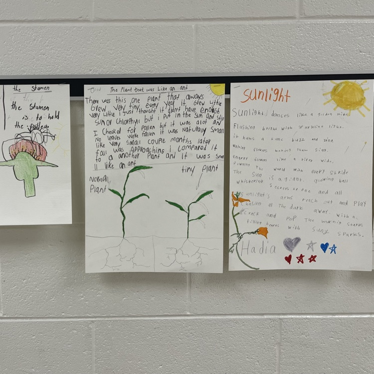 Art, Science, and Literacy