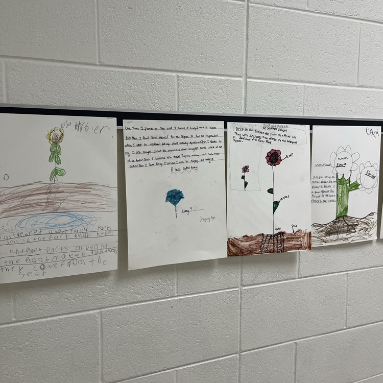 Art, Science, and Literacy