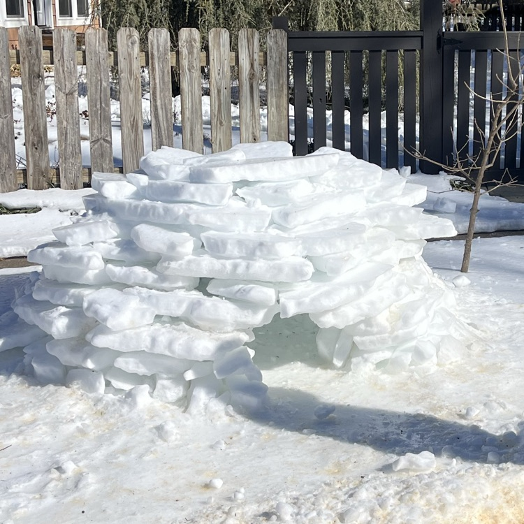 igloo 