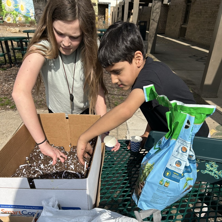 students preparing planters