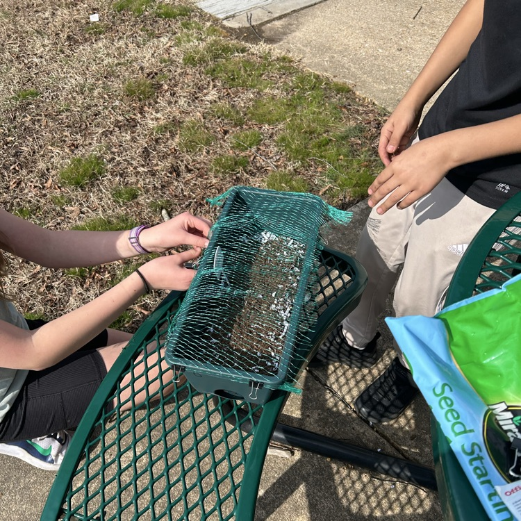 students preparing planters