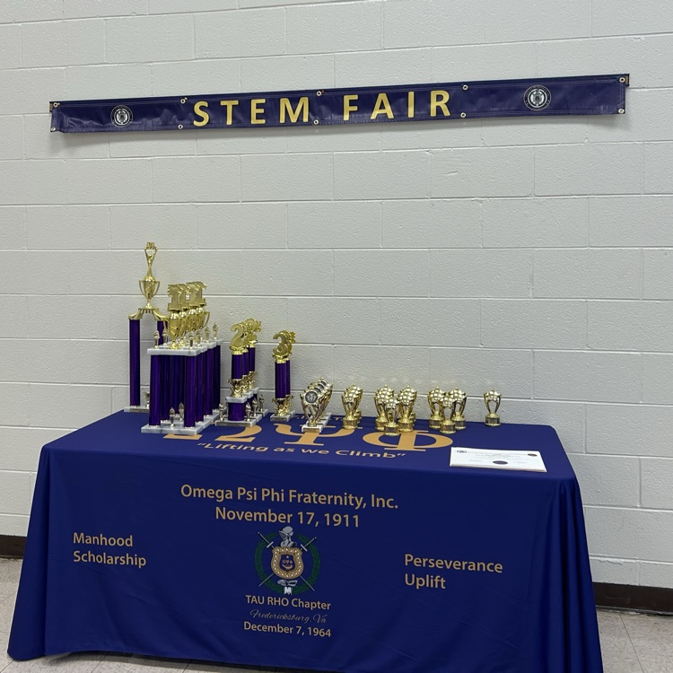 Stem Fair  