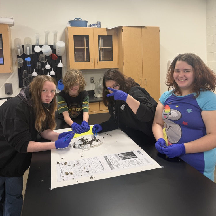#OwlPelletDissection