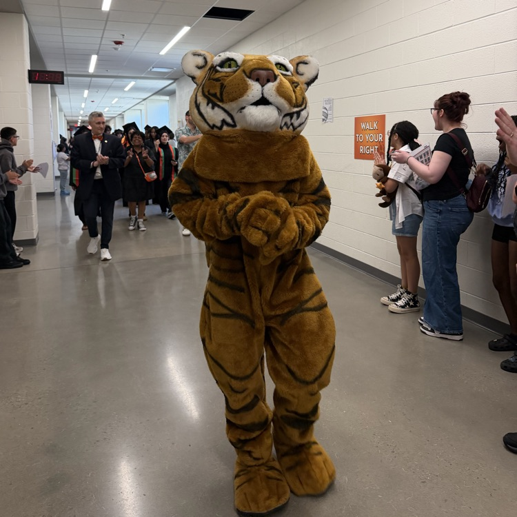 #SeniorWalk